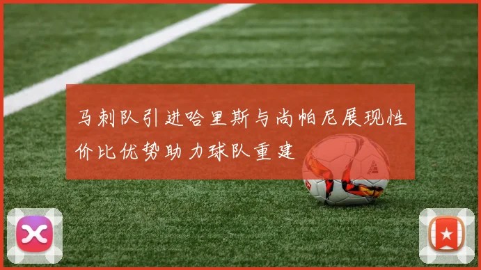 马刺队引进哈里斯与尚帕尼展现性价比优势助力球队重建
